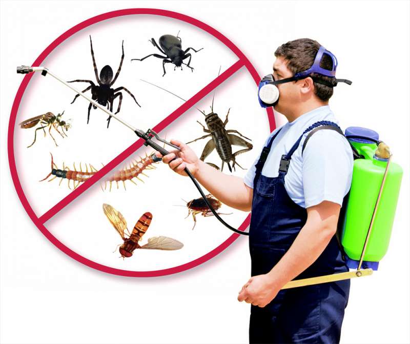 Biohazard Cleanup for Pest Infestations