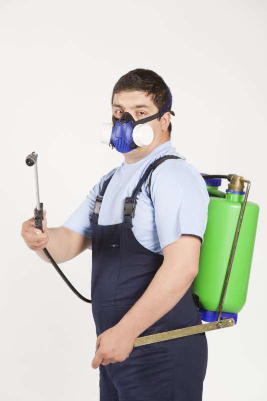 Heat Treatment for Bed Bugs