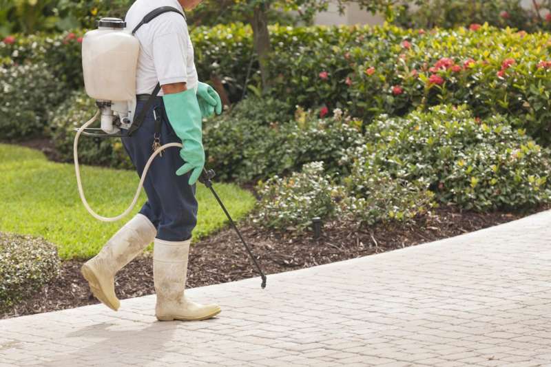 Hotel and Hospitality Pest Control