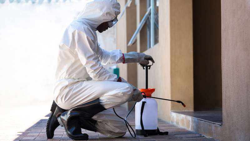 Lawn and Garden Pest Control
