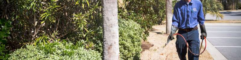Post-Construction Termite Treatment