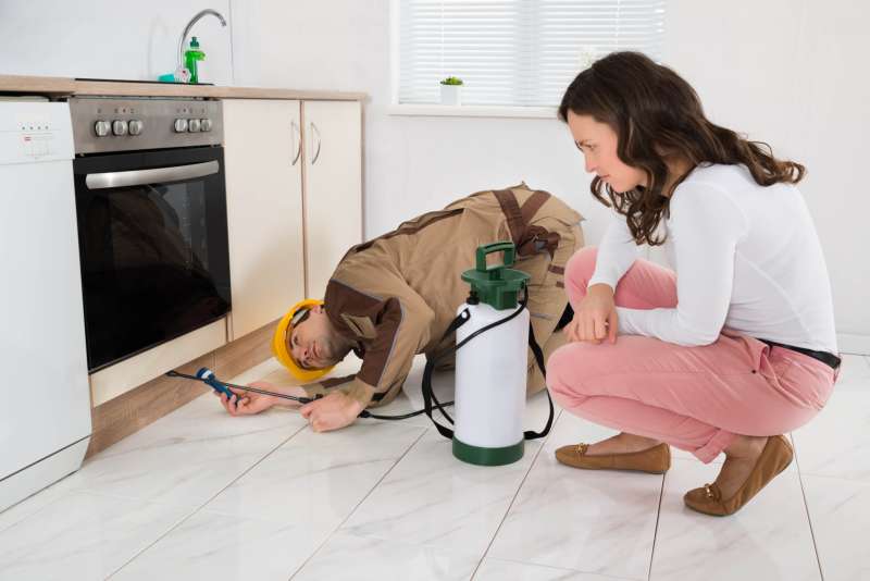 School and Daycare Pest Control